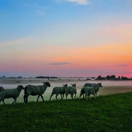 Gud Jard Nr 38 - Design-ferienhaus Mit Exklusiver Ausstattung * Pellworm