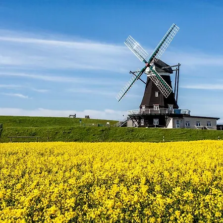 Gud Jard Nr 38 - Design-ferienhaus Mit Exklusiver Ausstattung Dom wakacyjny Pellworm