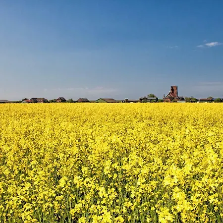 Dom wakacyjny Gud Jard Nr 38 - Design-ferienhaus Mit Exklusiver Ausstattung